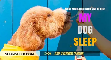 Safe Sleep Aids for Dogs: Medication Options to Help Your Pup Rest