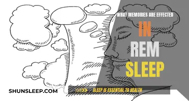 How REM Sleep Impacts Our Memories