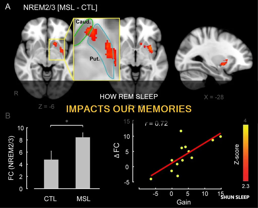 what memories are effected in rem sleep