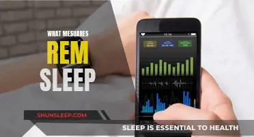 Understanding REM Sleep: Measurement Techniques and Insights