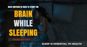 Brain Scanning: Unlocking Sleep Secrets