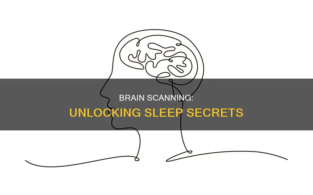 what method is used to study the brain while sleeping