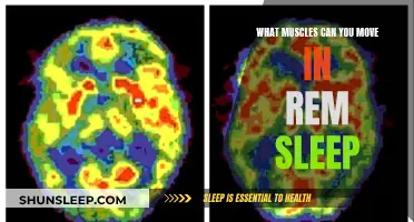 Muscle Movements in REM Sleep: What's Possible?