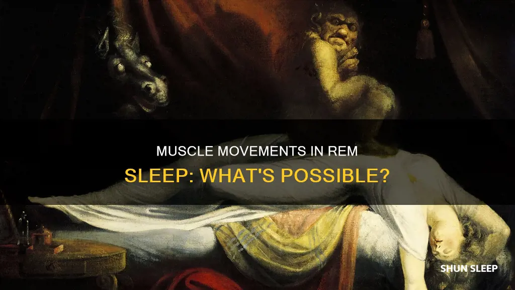 what muscles can you move in rem sleep