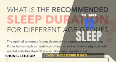 The Science of Sleep: What Your Body Needs