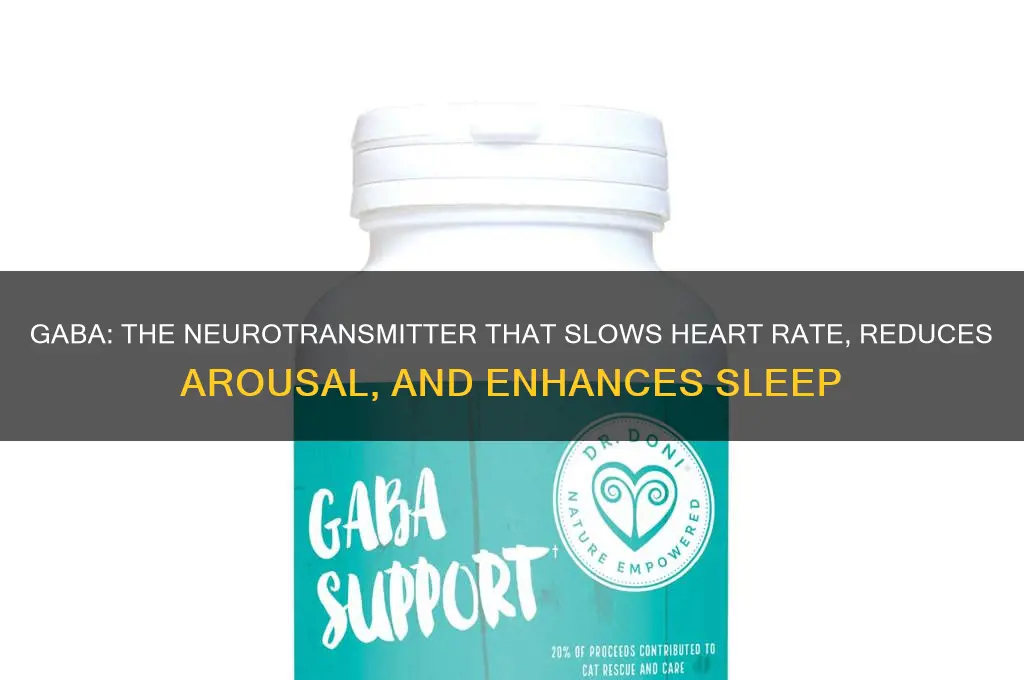 what neurotransmitter decreases heart rate and arousal and helps sleep