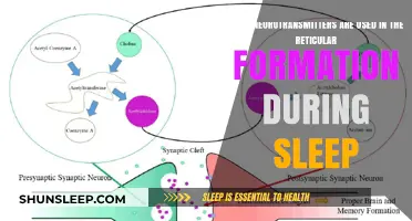Neurotransmitters in the Reticular Formation: Understanding Sleep