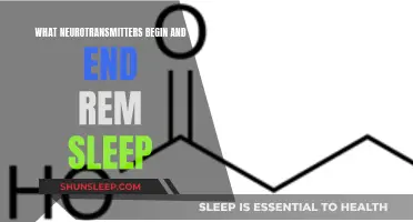 Neurotransmitters: The Key to Unlocking REM Sleep