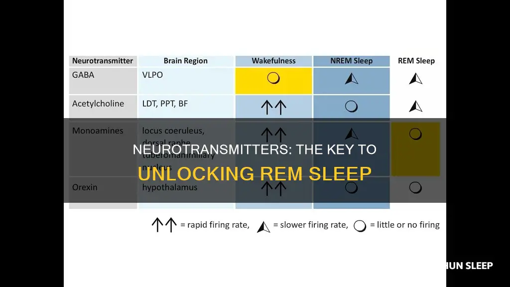 what neurotransmitters begin and end rem sleep