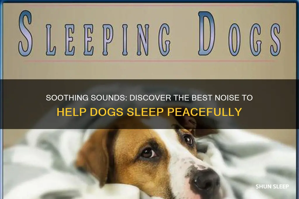 what noise helps dogs sleep