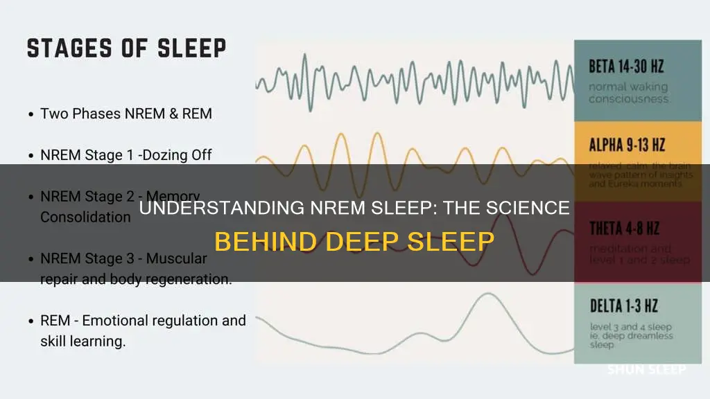 what nrem sleep means