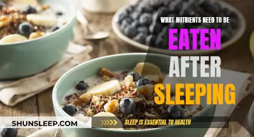 Nutrition After Sleep: Eat These Nutrients Post-Slumber