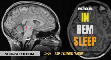 The Science of REM Sleep: Unlocking the Brain's Secrets