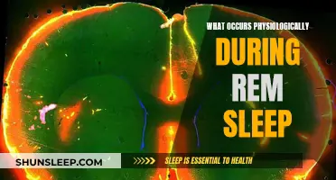 Exploring REM Sleep: Unlocking the Brain's Physiological Mysteries