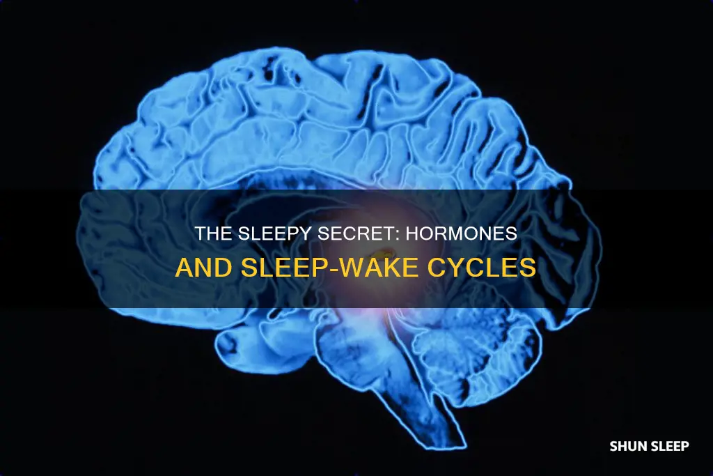 what organ secretes a hormone that country control sleep-wake cycles