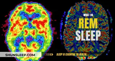 Understanding REM Sleep: The Science Behind Dreaming