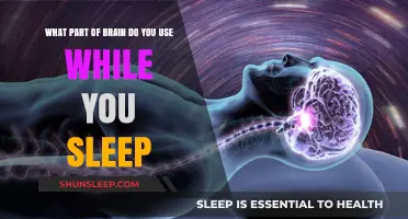 Brain Activity During Sleep: What's Happening?