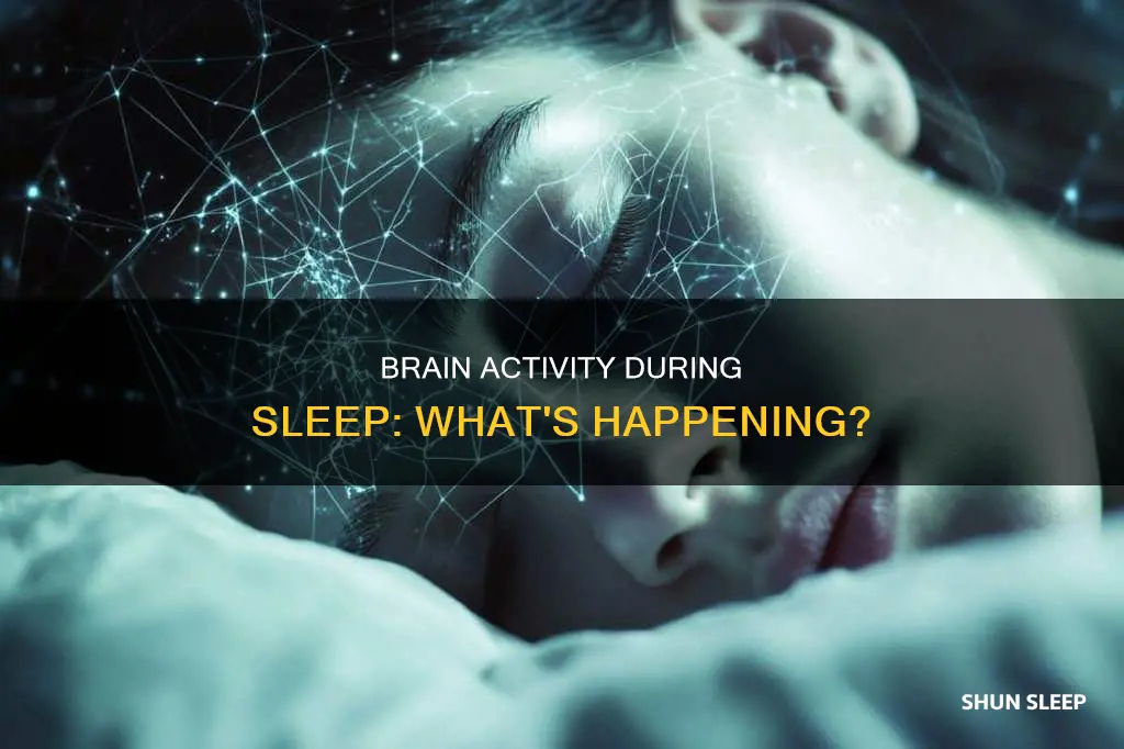 what part of brain do you use while you sleep
