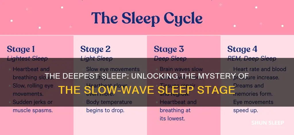 what part of sleep cycle least likely to wake up