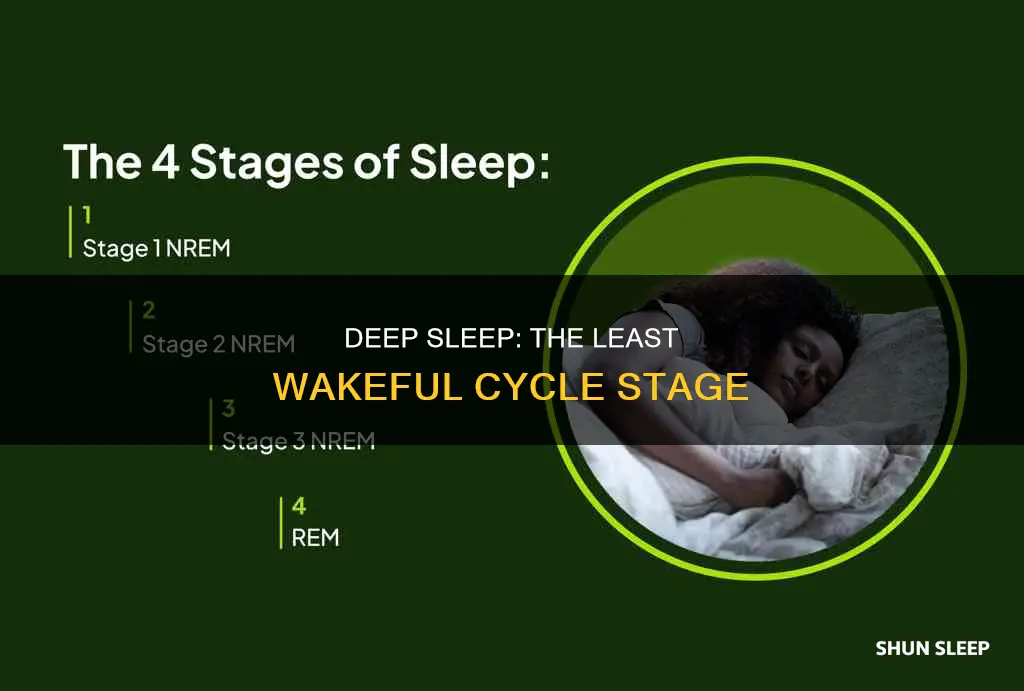 what part of sleep cycle least likely to wake up