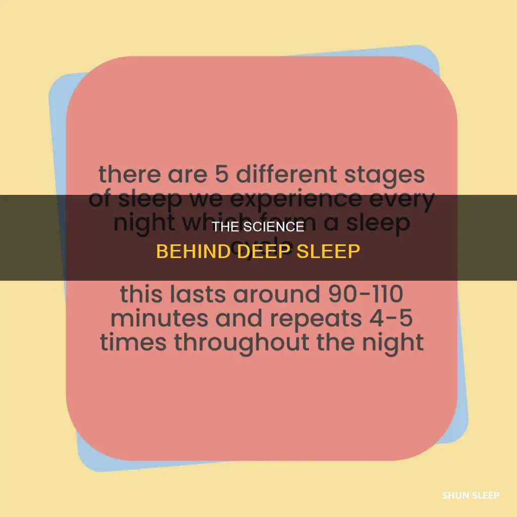 what part of sleep when nothing can wake you up