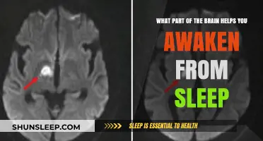 Brain's Wake-Up Call: Unveiling the Region That Ends Sleep