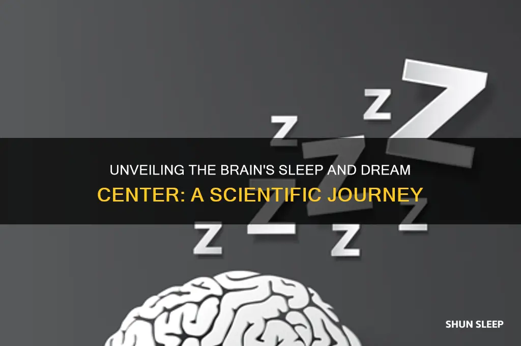 what part of the brain helps you sleep and dream
