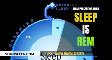 Understanding REM Sleep: Adults' Sleep Cycle Explained