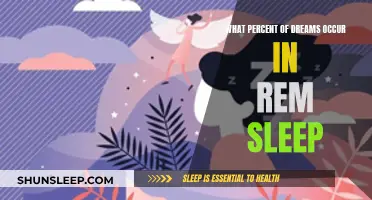 Understanding the REM Sleep: Dream Percentage Explained