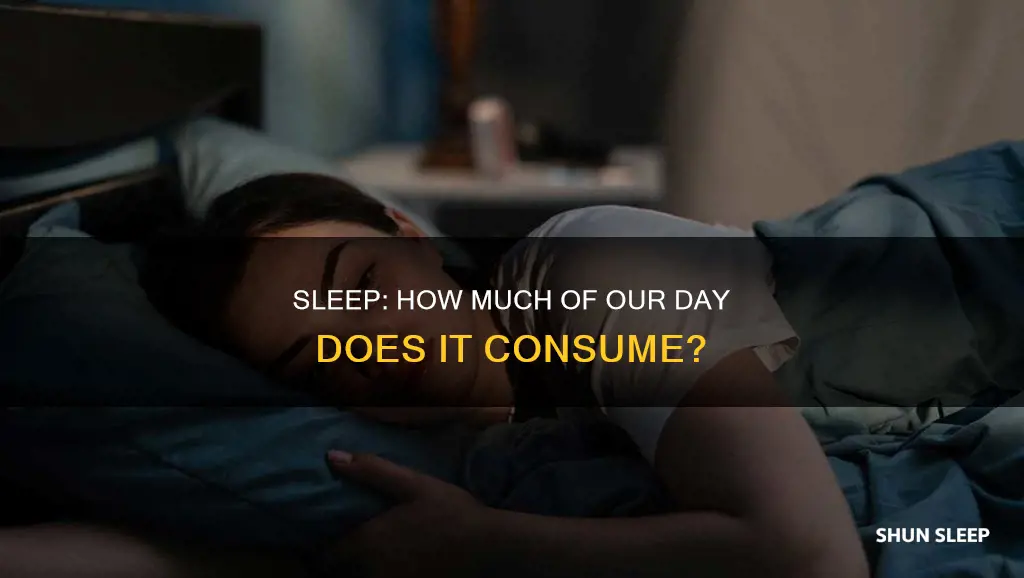 what percent of each day is spent sleeping