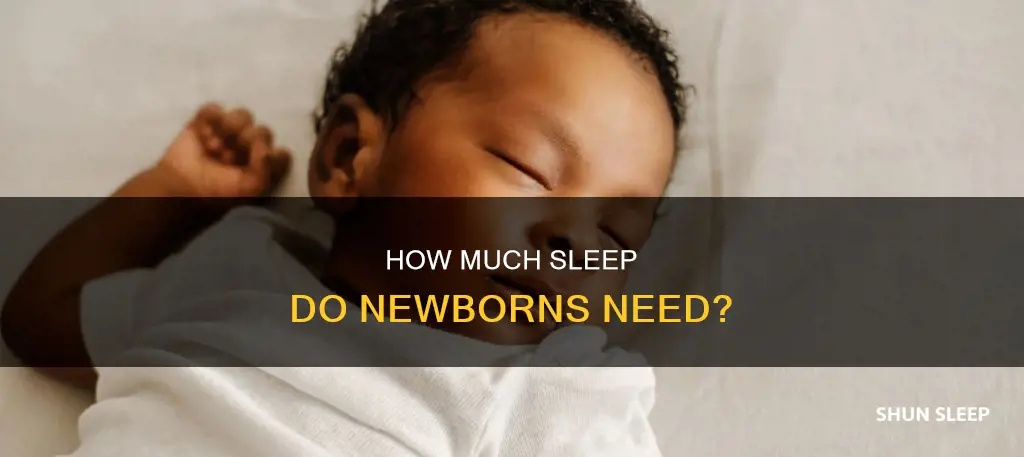 what percent of the day do newborns spend sleeping