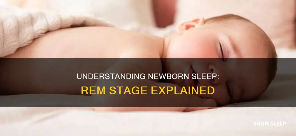 what percentage of a newborn