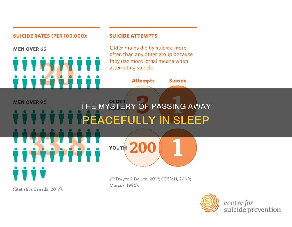 what percentage of old people die in their sleep