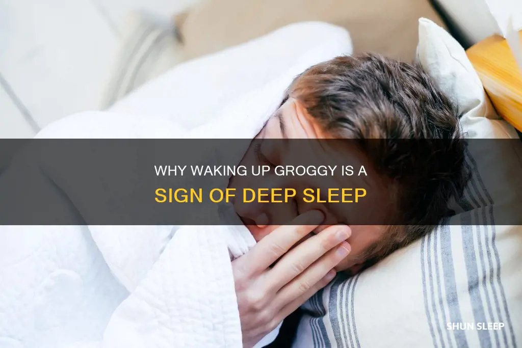 what phase of sleep do you wake up groggy