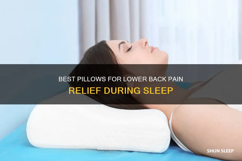 what pillow helps with lower back pain when sleeping
