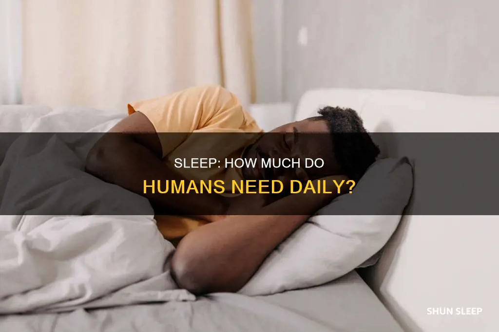 what portion percentof a day does a human sleep