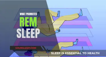 Promoting REM Sleep: Understanding the Science Behind It