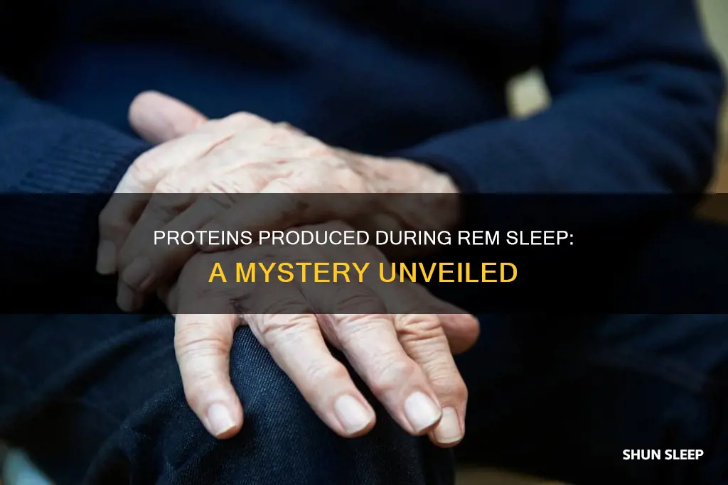 what proteins are produced during rem sleep