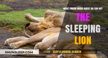 Sleeping Lion Quest: Unlocking the Secret in Proud Mode