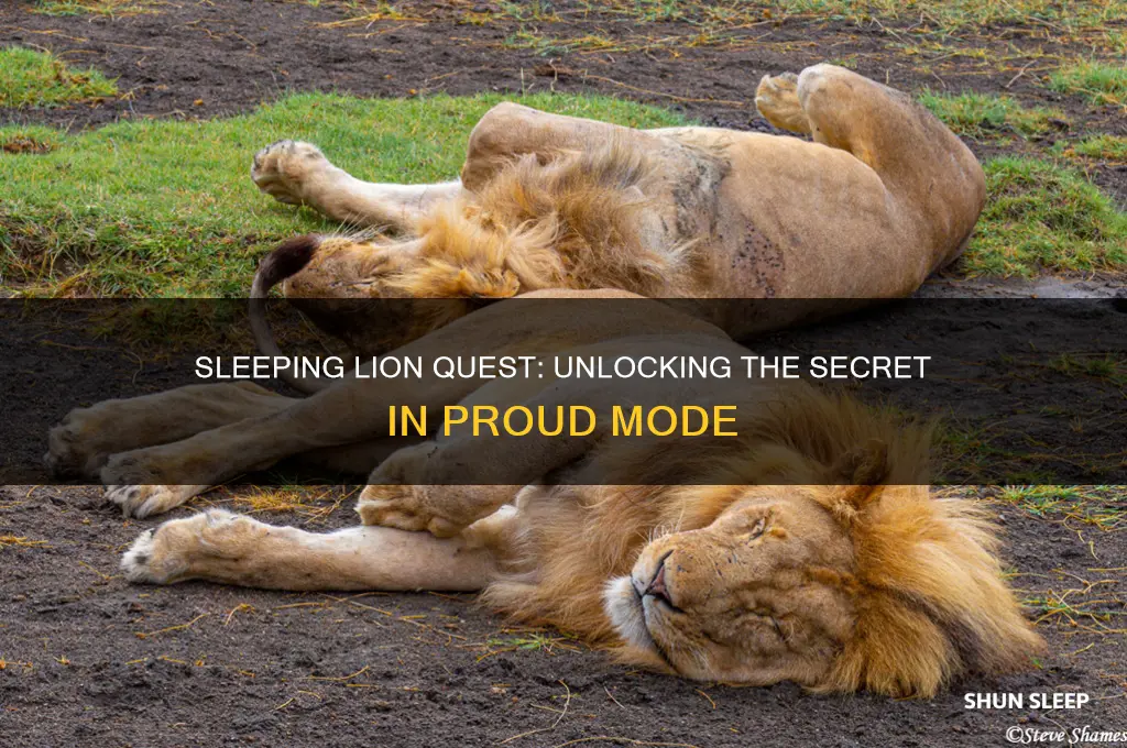 what proud mode quest do you get the sleeping lion