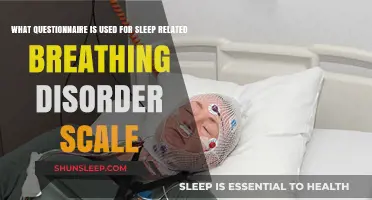 Questionnaire Tools for Sleep Apnea Diagnosis