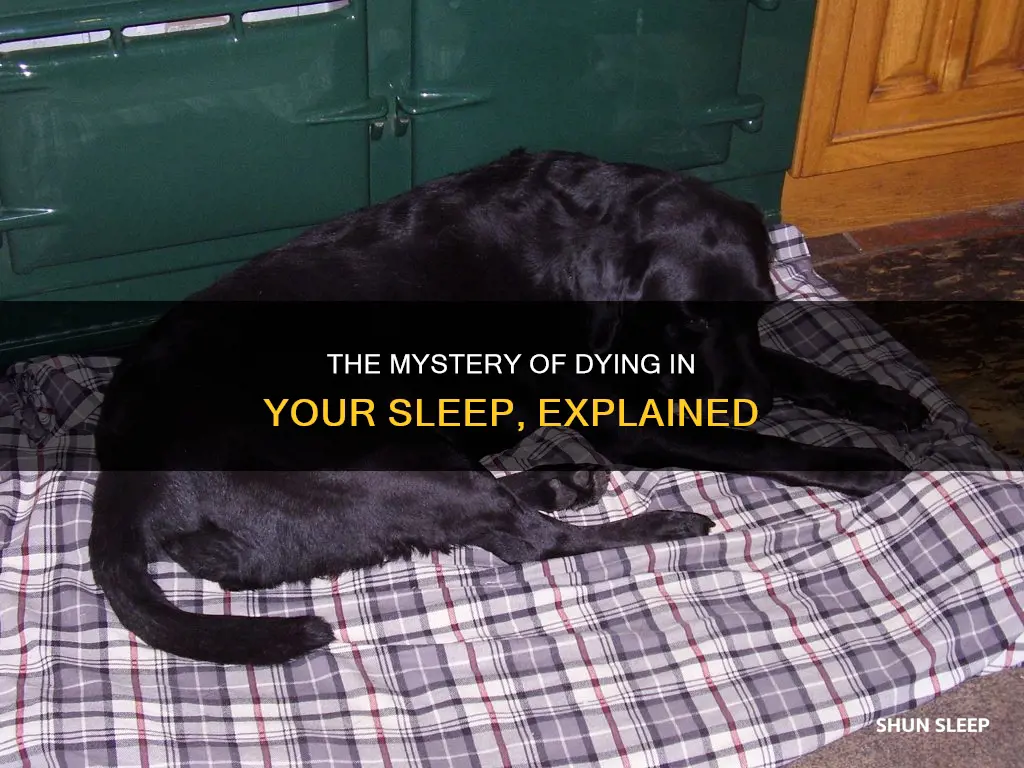 what really happens when someone dies in their sleep