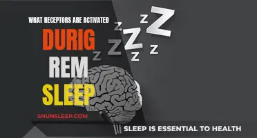 REM Sleep: Receptors Activated and Their Functions