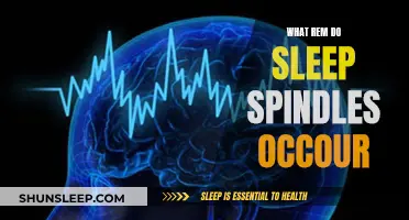 Sleep Spindles: Understanding Their Role in REM Sleep