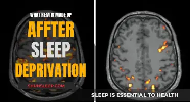 Sleep Deprivation and the REM Sleep Recovery Process