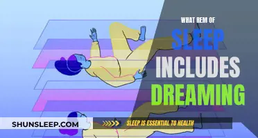 Dreaming and REM Sleep: Understanding the Connection