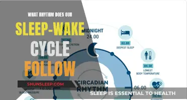 The Natural Rhythms of Sleep: Unlocking the Secrets of Our Circadian Clock