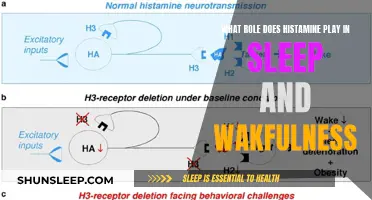 Histamine's Impact: Unlocking the Secrets of Sleep and Wakefulness