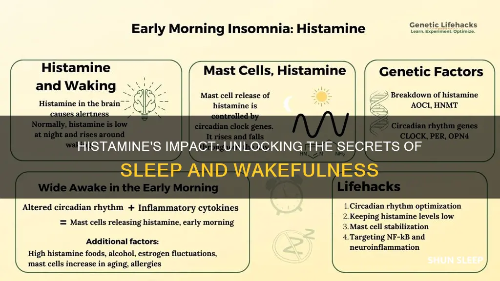 what role does histamine play in sleep and wakfulness