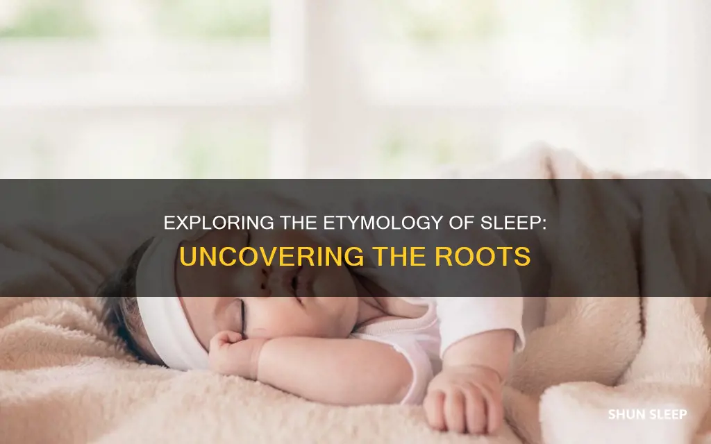 what root word means to sleep